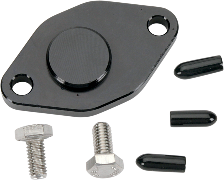WSM - Crank Case Block Off Plate - Yamaha