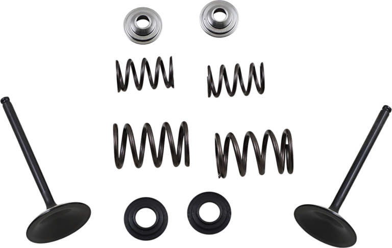 MOOSE OFFROAD - Valve and Spring Kit - Suzuki LTR450 Quad Racer