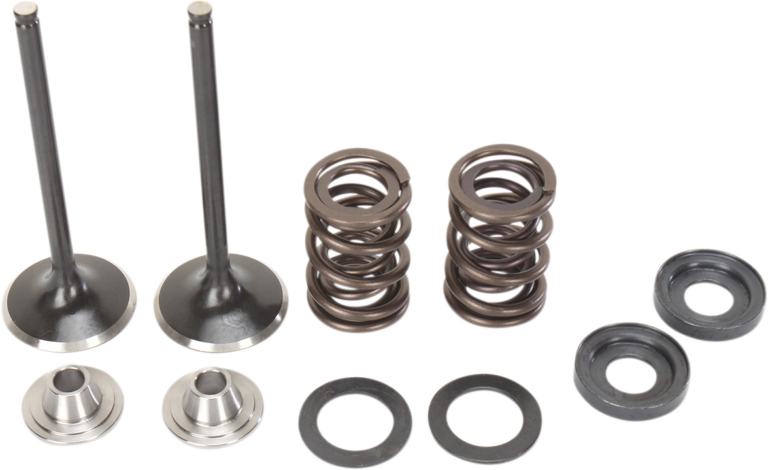 MOOSE OFFROAD - Valve and Spring Kit - KTM RSF Engine 400 cc - 560 cc