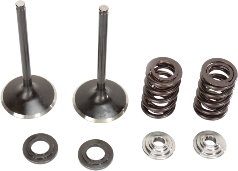MOOSE OFFROAD - Valve and Spring Kit - KTM 250SX-F | 250XC-F | 250 XCF-W