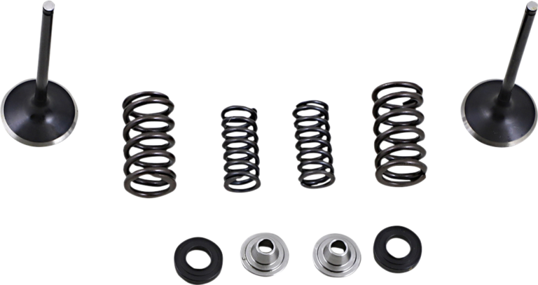 MOOSE OFFROAD - Valve and Spring Kit - Honda CRF250L