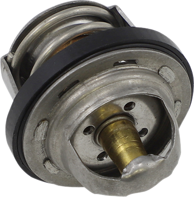 ALL BALLS - Replacement Thermostat - Polaris