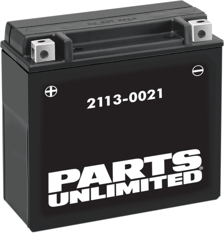 PARTS UNLIMITED - AGM Battery - YTX20H-BS .95 L