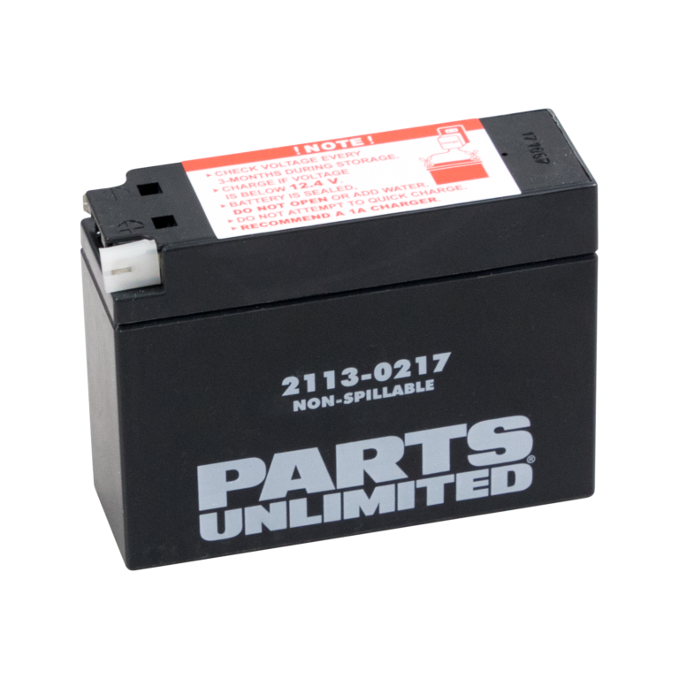 PARTS UNLIMITED - AGM Battery - YT4B-BS
