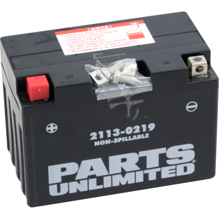 PARTS UNLIMITED - AGM Battery - YT12A-BS