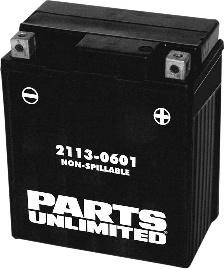 PARTS UNLIMITED - AGM Battery - YTZ8V