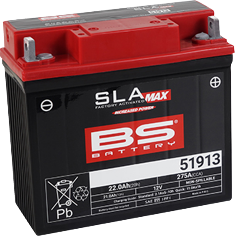 BS BATTERY - Battery - 51913