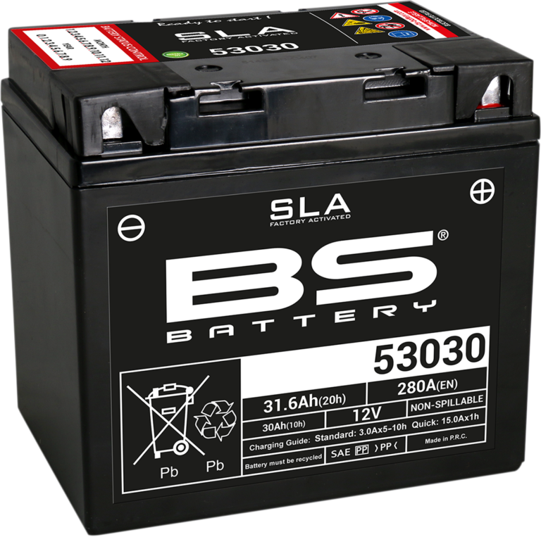 BS BATTERY - Battery - 53030
