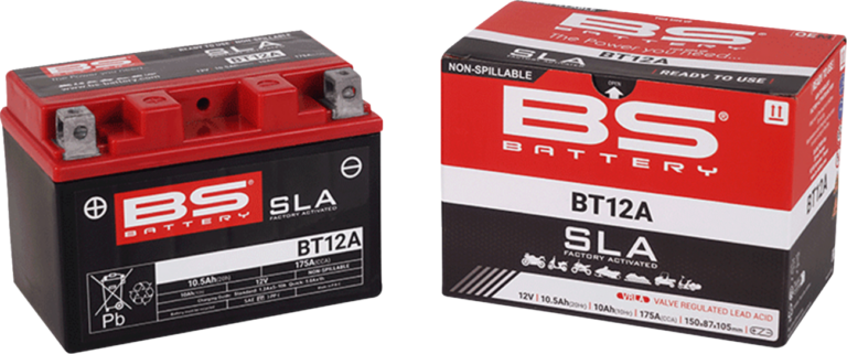BS BATTERY - Battery - BT12A (YT)
