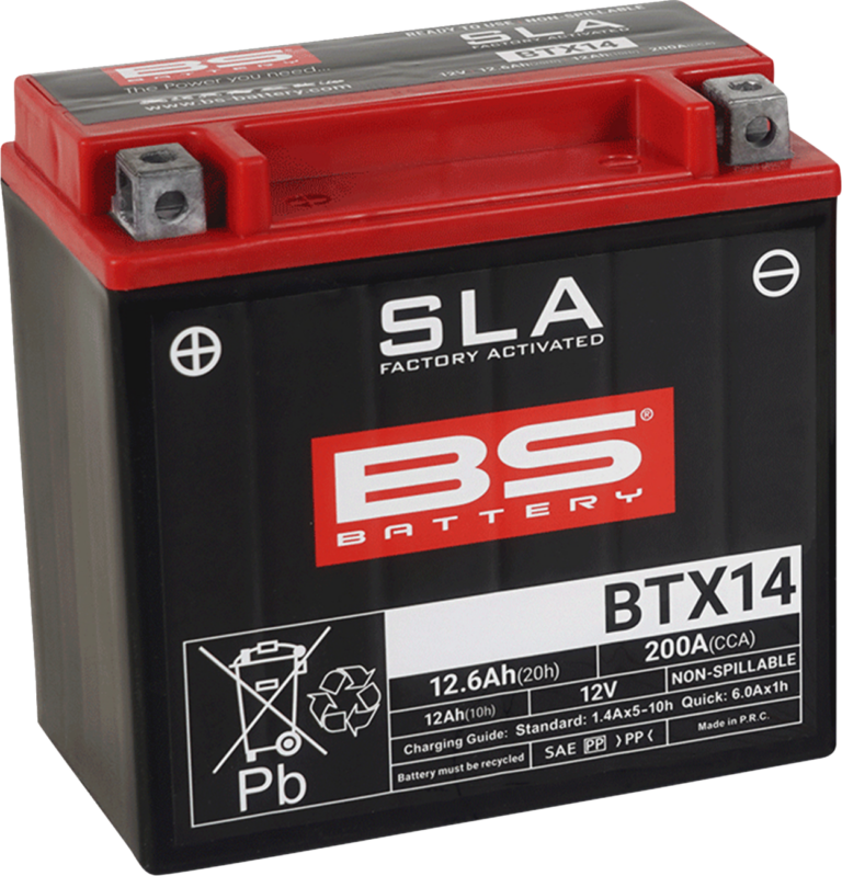 BS BATTERY - Battery - BTX14 (YTX)