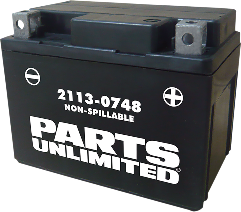 PARTS UNLIMITED - AGM Battery - YTX4L