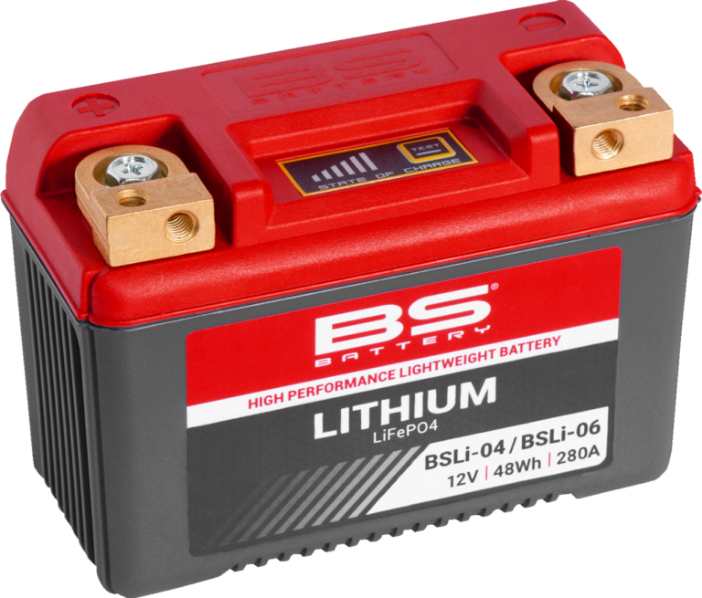 BS BATTERY - Lithium Battery - BSLi-04/06