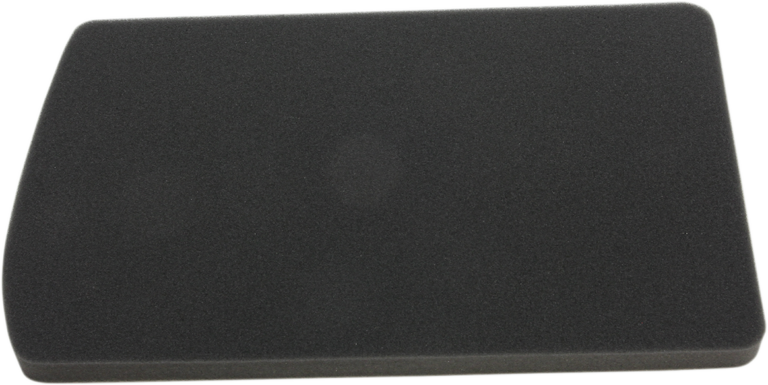HIFLOFILTRO - Replacement Air Filter - BMW