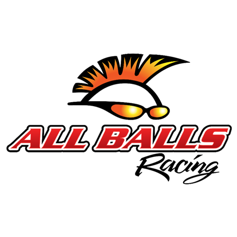ALL-BALLS-RACING