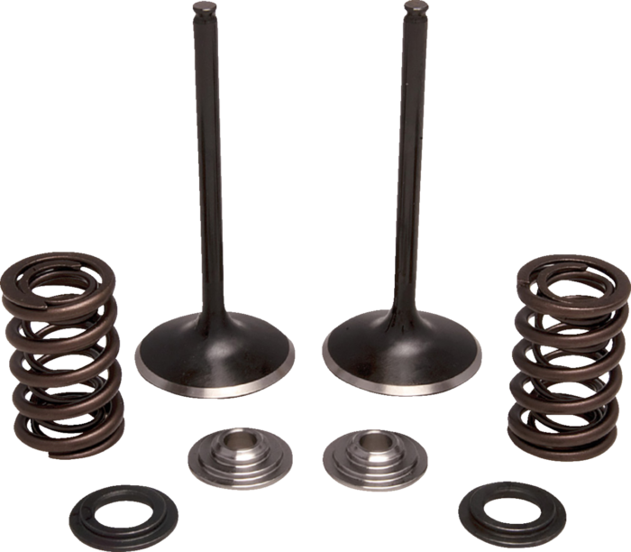 MOOSE OFFROAD - Valve and Spring Kit - Intake - Honda