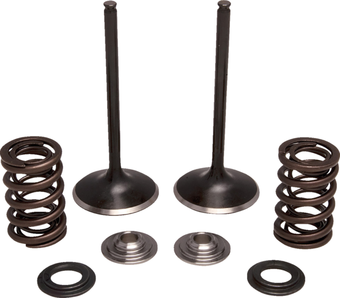 MOOSE OFFROAD - Valve and Spring Kit - Exhaust - Honda